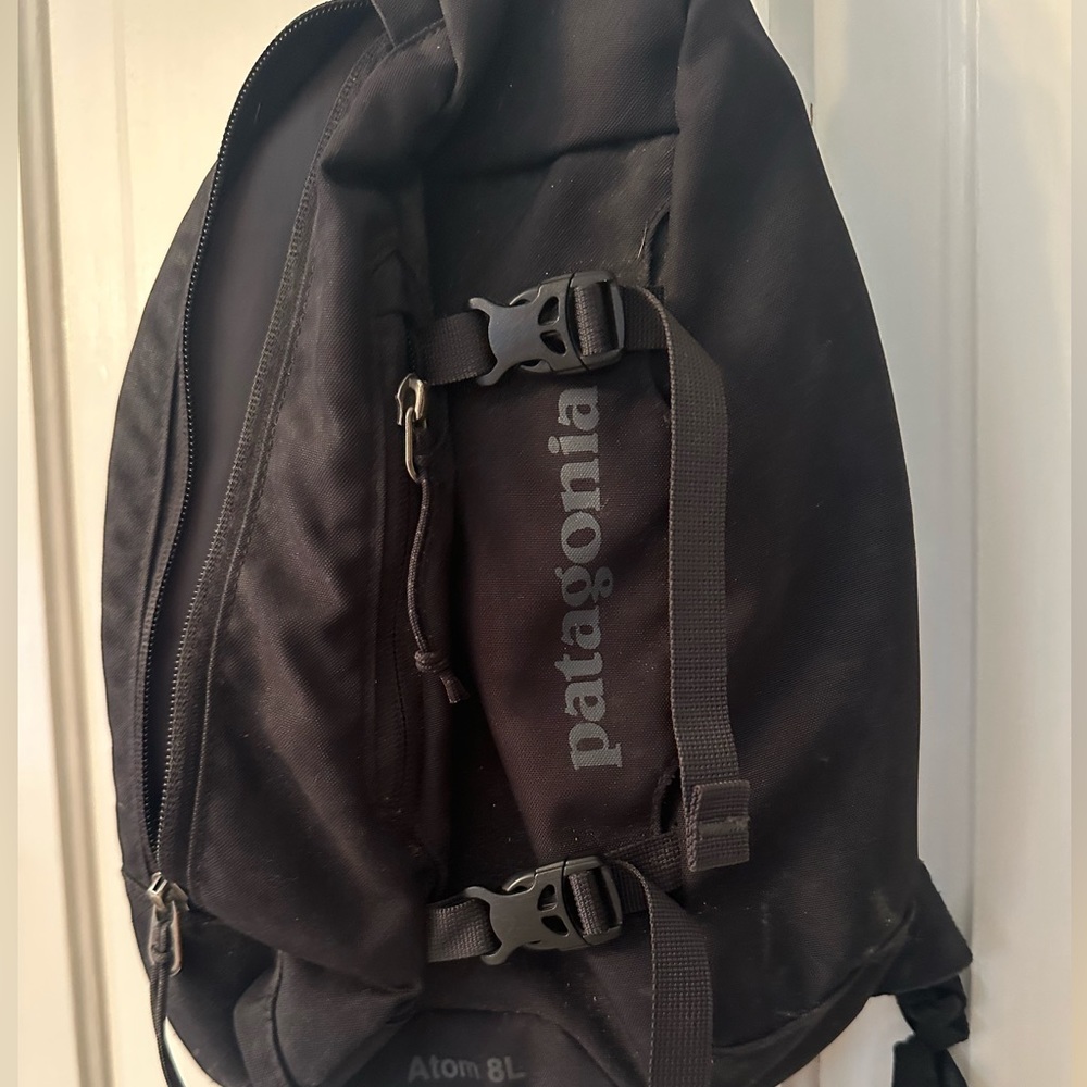 Patagonia Sling Bag